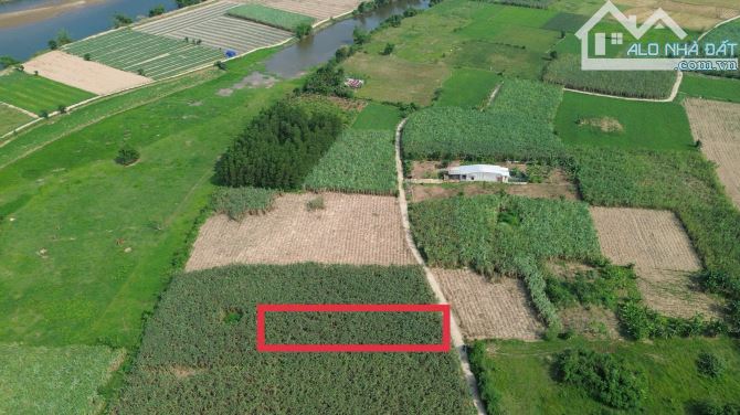 Đất xây nhà vườn hòa bắc, 580m2 có 250m2 đất ở - 1