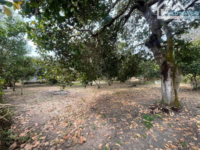 Bán lô đất 498m2  tại xã Hòa Hội– Xuyên Mộc, Bà Rịa Vũng Tàu - 1