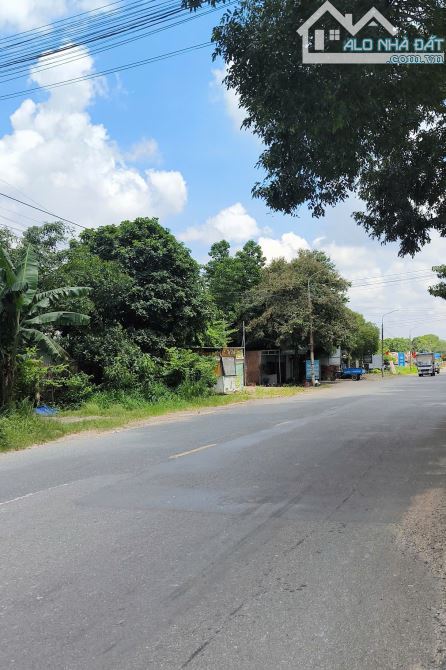Bán lô đất 19.5m dài 70m có 500tc Trục Hắc Dịch- Tóc Tiên - 1