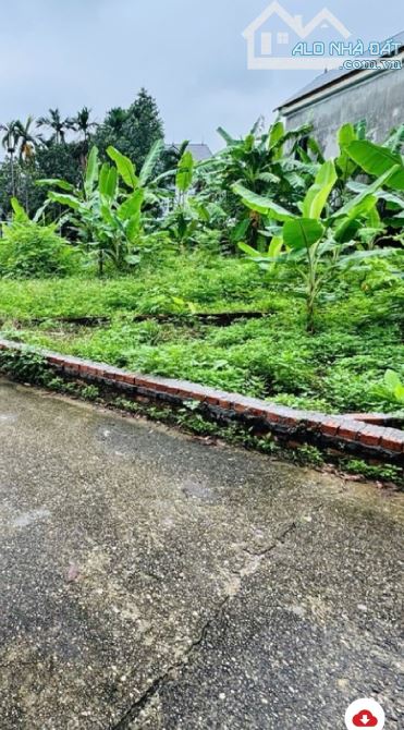 🏡 BẤT ĐỘNG SẢN HÀ NỘI – PHẠM TÍN 🔥 Cần bán gấp lô đất tại Cộng Hòa, Sóc Sơn, Hà Nội 📍 - 1
