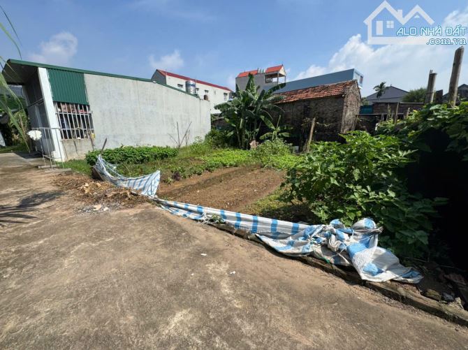 Bán 50m đất Tráng Việt, Mê Linh. Ô tô đỗ đất. Đi khu công nghiệp Bắc Thăng Long hết vài - 1