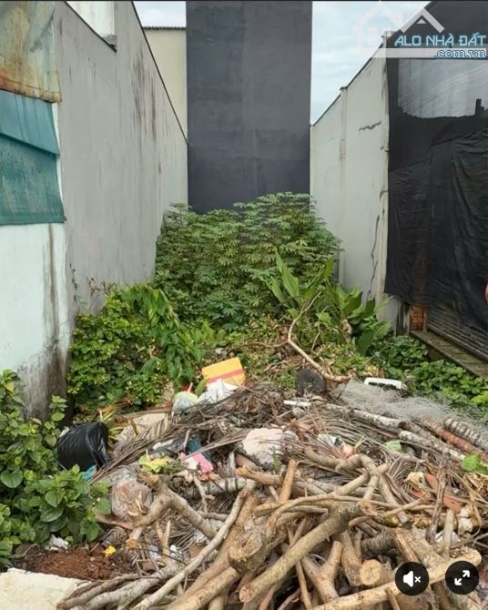 Đất Mặt Tiền Đường Nhựa, 1/Ngắn Đường Huỳnh Thị Mài, Tân Hiệp Hóc Môn - 1