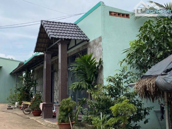 ✓Bán nhà xưởng tại xã Bình Minh, huyện Trảng Bom, Đồng Nai. DT: 2300m2. Đt xưởng 1850m2. - 1