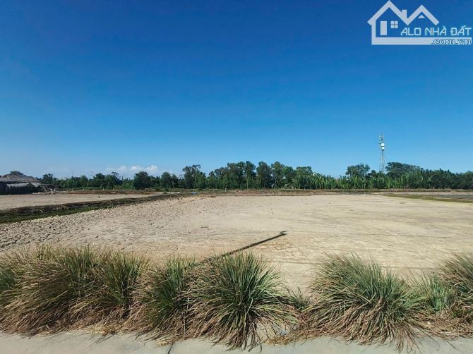 Bán đất Cấn giờ, 51x65m, Xã Bình Khánh Huyện Cần Giờ, 3300m2, Giá 17,3 tỷ - 1