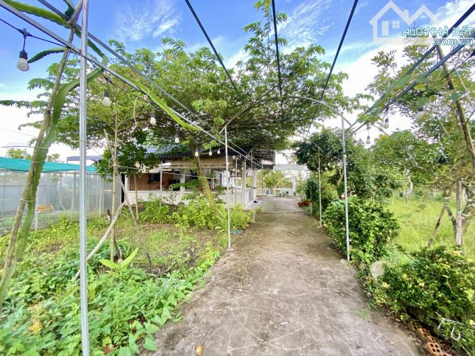 Nhà vườn _DT 2132 m2 có hồ sinh thái - thoáng mát - cây ăn trái, xã Tân Trạch, Cần Đước LA - 1