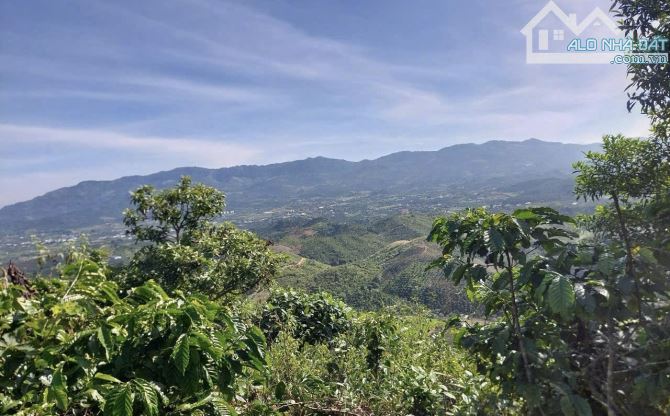 Bán đất vườn view săn mây đồi bát úp Phạm Hồng Thái Đại Lào ( phường 3) Bảo Lộc. 🆘 GIÁ RẺ - 1