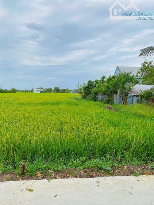 190m thổ cư full. Mặt tiền đường đan 3m ô tô đến nơi - 1