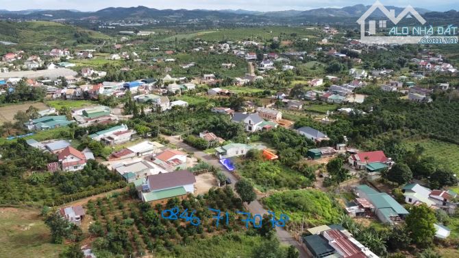 🔥 CẦN BÁN GẤP – LÔ ĐẤT ĐẸP GIÁ RẺ NHẤT KHU VỰC NINH GIa 🔥 252m2,MT10m - 1