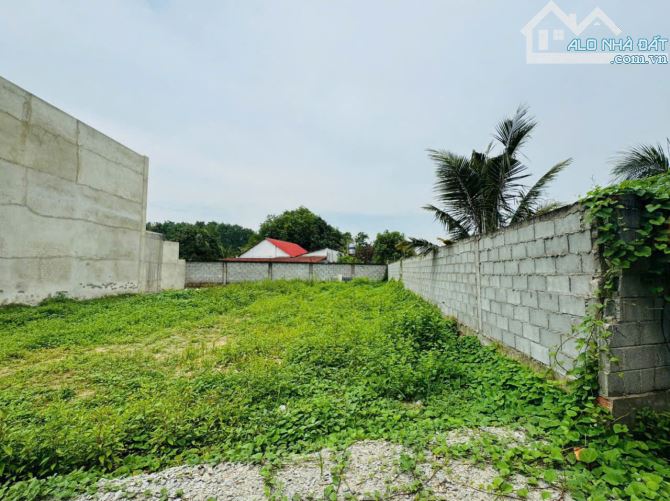🔥BÁN ĐẤT CHÍNH CHỦ CỦ CHI - GIÁ TỐT - SỔ HỒNG RIÊNG🔥 - 2