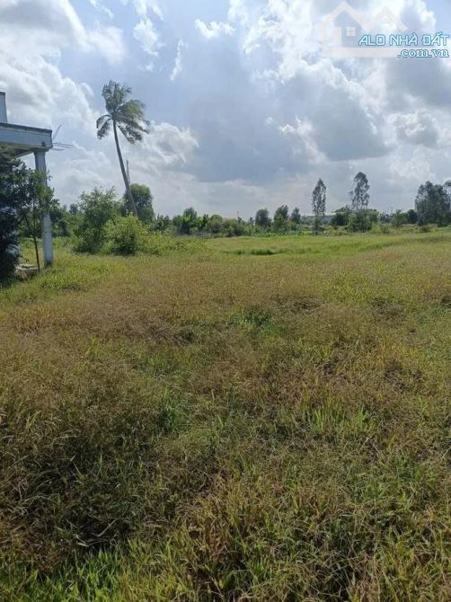 BÁN GẤP ĐẤT THỔ CƯ 700M² NGANG 20M – SÁT TT. ĐÔNG THÀNH, ĐỨC HUỆ, LONG AN - 2