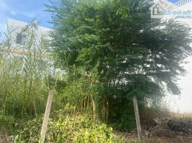 450M2(20X22,5)LÔ ĐẤT BIỆT THỰ CUỐI CÙNG NGAY VÒNG XOAY LIÊN PHƯỜNG - 2