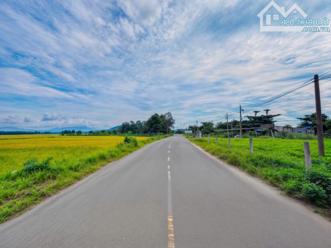 🌿 BÁN ĐẤT - MẶT TIỀN NGUYỄN MINH CHÂU - GIÁ CHỈ 125 TRIỆU/MÉT NGANG ❣️ - 2