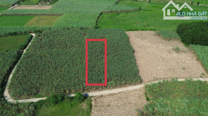 Đất xây nhà vườn hòa bắc, 580m2 có 250m2 đất ở - 2