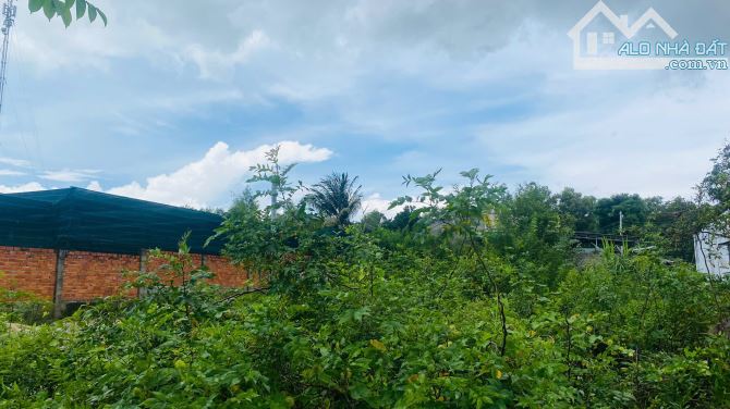 Bán Đất 6x37(224m2) Đoàn Thị Điểm Tân An LaGi Giá Ngộp - 2