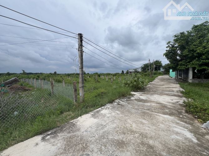 💥ĐẤT THỔ CƯ MẶT TIỀN BÊ TÔNG KDC KM 12 XÃ HÀM KIỆM - BÌNH THUẬN - 2