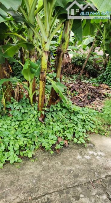 CƠ HỘI HIẾM – LÔ ĐẤT ĐẸP 30M² YÊN NGHĨA HÀ ĐÔNG – CHỈ 2.2 TỶ - 2
