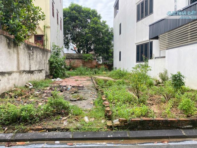 BÁN GẤP LÔ ĐẤT ĐẸP TẠI CỔ MIẾU, THỤY LÂM, ĐÔNG ANH. 158M2, MT 7.43M, NỞ HẬU. GIÁ 8,69 TỶ - 2