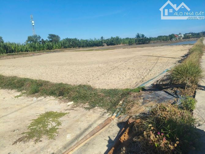 Bán đất Cấn giờ, 51x65m, Xã Bình Khánh Huyện Cần Giờ, 3300m2, Giá 17,3 tỷ - 2