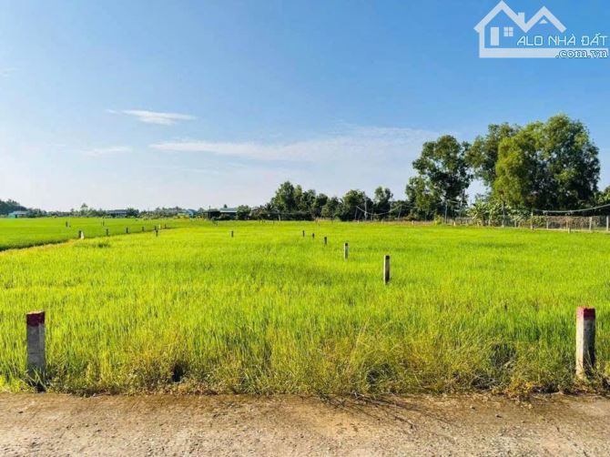 190m thổ cư full. Mặt tiền đường đan 3m ô tô đến nơi - 2