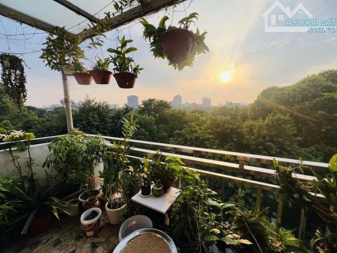 Bán nhà mặt phố Nguyễn Đình Chiểu 42m2, 7T thang máy đẹp View công viên thống nhất - 2