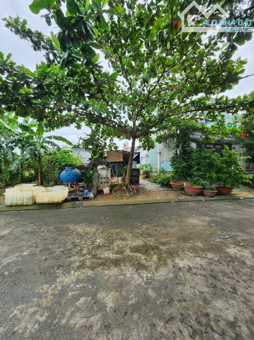 Bán đất TĐC Gò Chai P.Bình Hòa Tp.Thuận An chỉ 3 tỷ 3 TL M7458 - 2