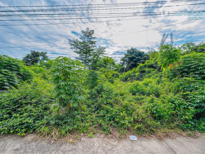 🌿 BÁN ĐẤT - MẶT TIỀN NGUYỄN MINH CHÂU - GIÁ CHỈ 125 TRIỆU/MÉT NGANG ❣️ - 3