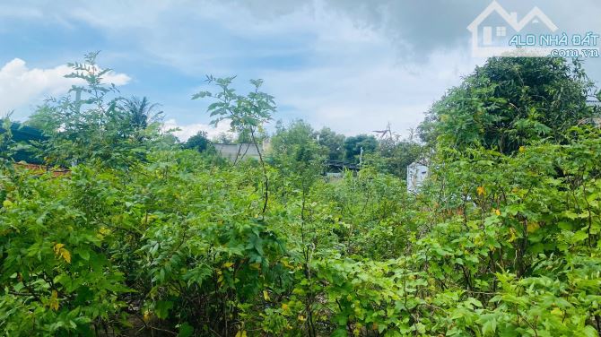 Bán Đất 6x37(224m2) Đoàn Thị Điểm Tân An LaGi Giá Ngộp - 3