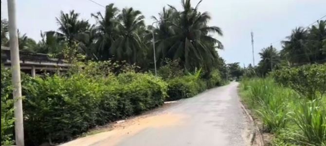 Tôi chủ. Bán đất Chợ Gạo - Tiền Giang 1200m2 CLN giá rẻ 650tr - 3