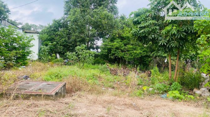 6x28(170m2) 50m2 tc Trưng Trắc Tân An LaGi Giá Đầu Tư - 3