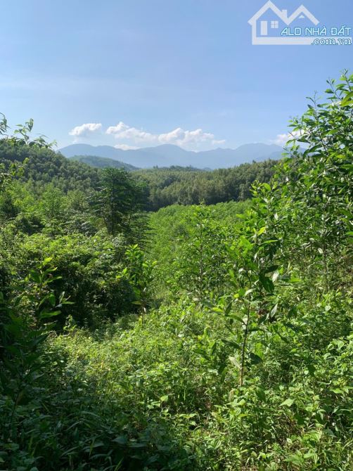 CƠ HỘI HIẾM - ĐẤT LÀM FARM NGHỈ DƯỠNG, SUỐI CHẢY QUANH NĂM MẮT MẺ TẠI KHÁNH NAM KHÁNH VĨNH - 3