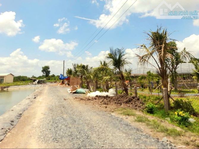 Siêu phẩm, 500m2 đất vườn View Sông cực đẹp, chỉ 500tr - 3