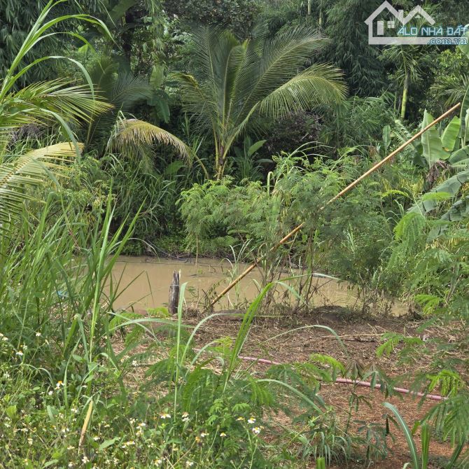 🅿️❇️695m² đất view đẹp, sát khu dân cư Buôn NaoB, Nguyễn Xuân Nguyên giá siêu rẻ❇️ - 3
