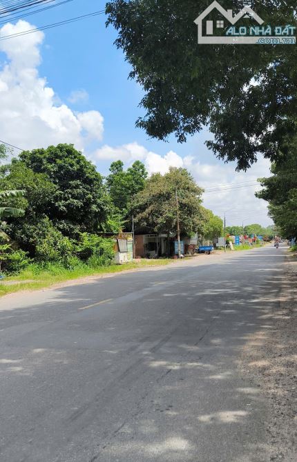 Bán lô đất 19.5m dài 70m có 500tc Trục Hắc Dịch- Tóc Tiên - 3