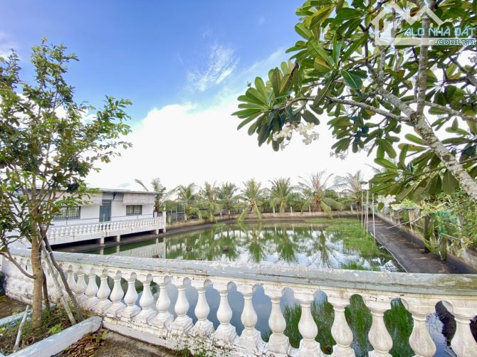 Nhà vườn _DT 2132 m2 có hồ sinh thái - thoáng mát - cây ăn trái, xã Tân Trạch, Cần Đước LA - 3