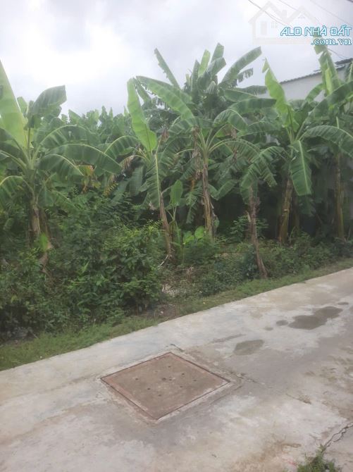 💎 Bán đất full thổ cư (11 x 27.5m) xã Yên Luông, cách Huyện Lộ 15 chỉ vài bước chân - 3