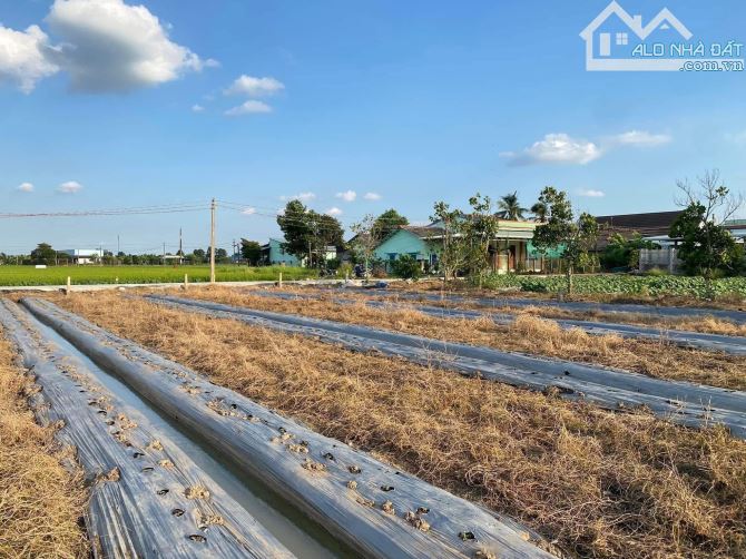 Cách nhựa 300m. Mặt tiền đường Nguyễn Văn Trưng nối dài - 3
