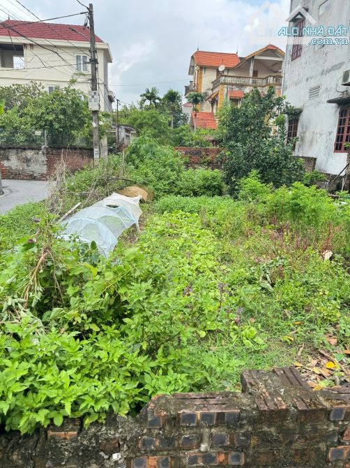 🚀 MAI LÂM –ĐÔNG ANH “TỌA ĐỘ VÀNG” TRONG MẮT GIỚI ĐẦU TƯ – MẢNH ĐẤT 41M² GIÁ ĐẸP - 3