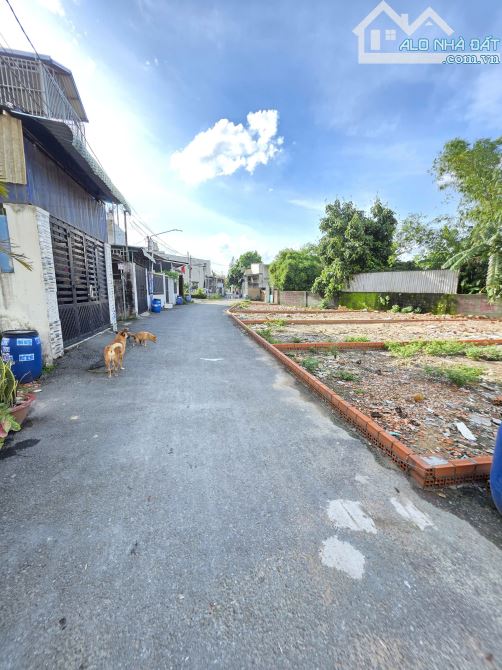 Bán đất 6.9x19m, hẻm Nguyễn Thái Học p. Tân Đông Hiệp gần chợ Dĩ An - 4