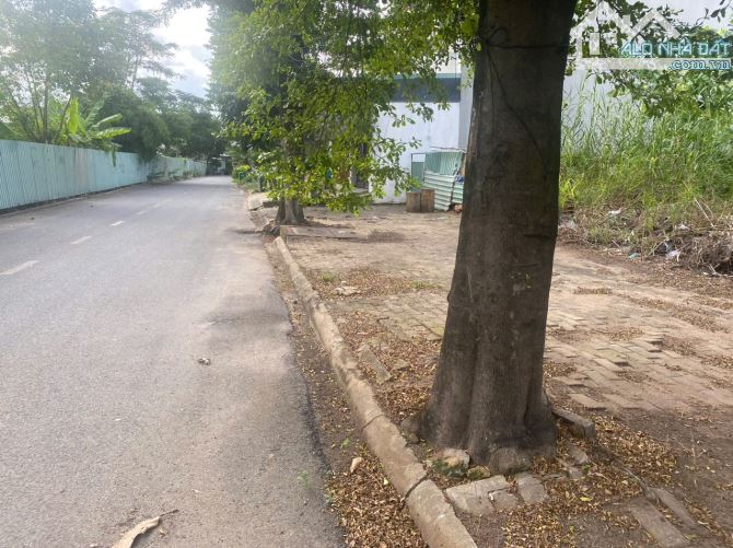 450M2(20X22,5)LÔ ĐẤT BIỆT THỰ CUỐI CÙNG NGAY VÒNG XOAY LIÊN PHƯỜNG - 4