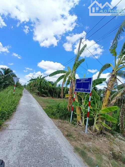 Bán 6000m2 đất vườn dừa xiêm đang cho trái đường oto - 4