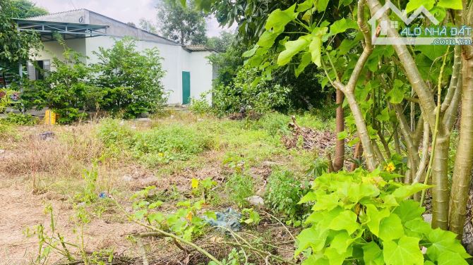 6x28(170m2) 50m2 tc Trưng Trắc Tân An LaGi Giá Đầu Tư - 4