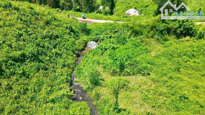 CƠ HỘI HIẾM - ĐẤT LÀM FARM NGHỈ DƯỠNG, SUỐI CHẢY QUANH NĂM MẮT MẺ TẠI KHÁNH NAM KHÁNH VĨNH - 4