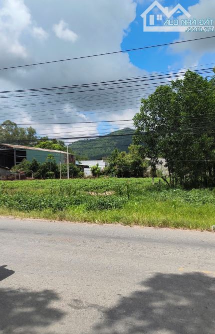 Bán lô đất 19.5m dài 70m có 500tc Trục Hắc Dịch- Tóc Tiên - 4