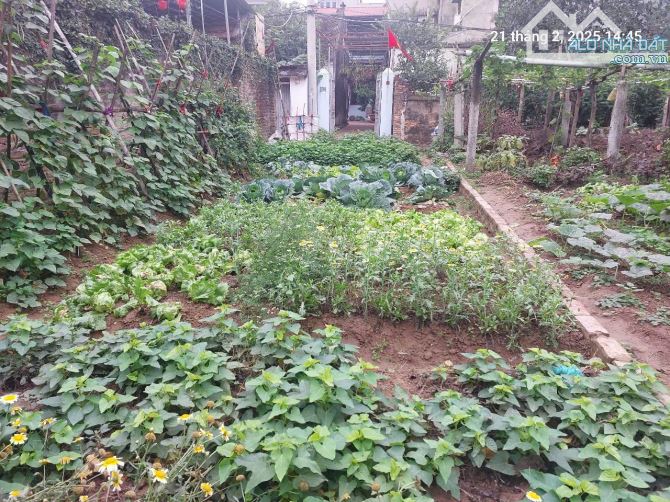 Chủ cũ tìm chủ mới 92m2, 4.6m, 5.75 tỷ, nở hậu, ô tô, thông, Việt Hùng, Đông Anh. - 4