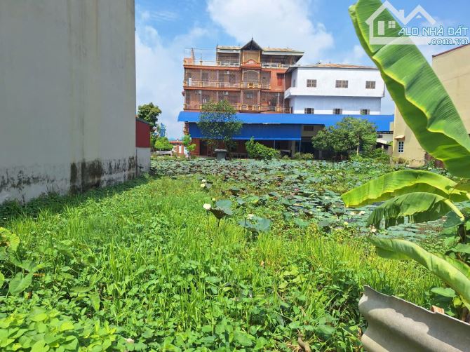 Vỉa Hè KD-Gần QL17,QL38,Chợ,Trường Học,Bệnh Viện.Bán Đất Thuận Thành,Bắc Ninh,Dt 210m. - 4