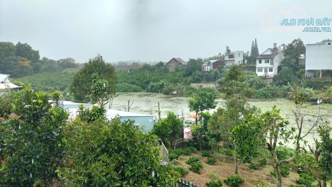 Bán Biệt thự p1 Bảo Lộc Lâm Đồng - 4
