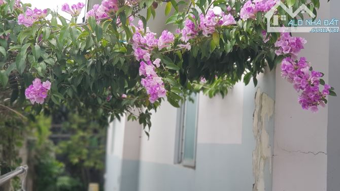 Cho thuê  phòng có wc riêng, an ninh, sân vườn thoáng mát, ban công riêng - 4