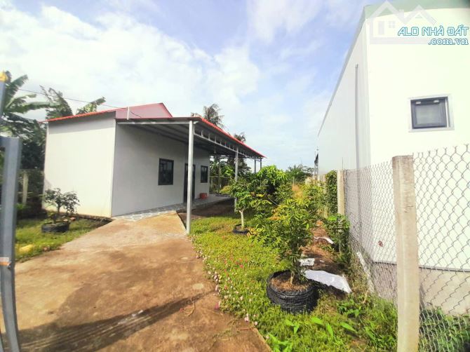 nhà vườn 500m2 đất View Sông cực đẹp chỉ 980 triệu - 4