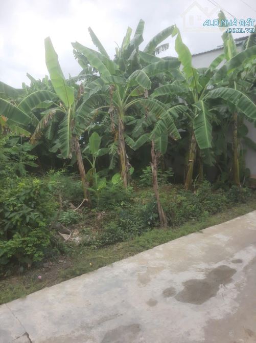 💎 Bán đất full thổ cư (11 x 27.5m) xã Yên Luông, cách Huyện Lộ 15 chỉ vài bước chân - 4