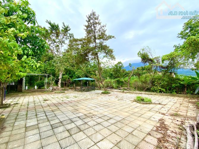 Lô góc 1000m2, sẵn khuôn viên nhà vườn nghỉ dưỡng, view núi Tản Viên, Ba Vì, Hà Nội - 4